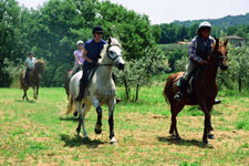 Italy-Tuscany-Seven Castles Ride